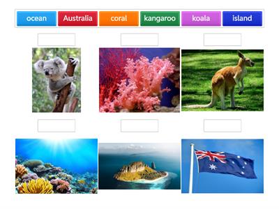  Let’s Learn New Words!