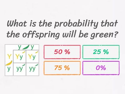 Punnett square- Practice