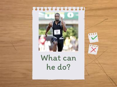 Revision - can, can´t