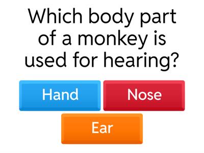 PrimerPeriodo-INGLES