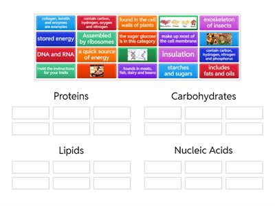 Biomolecules