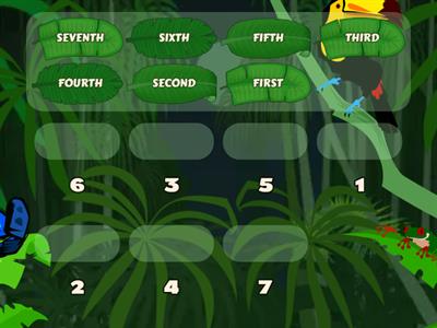 ORDINAL NUMBERS 1st - 7th