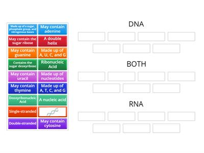 DNA vs RNA