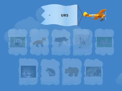 RECUNOAȘTE ANIMALUL!