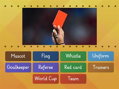 WORLD CUP VOCABULARY