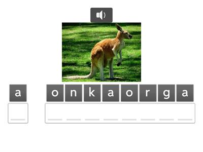 Magic Box 4. Animals