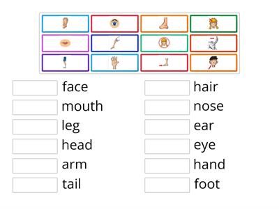 Parts of the Body