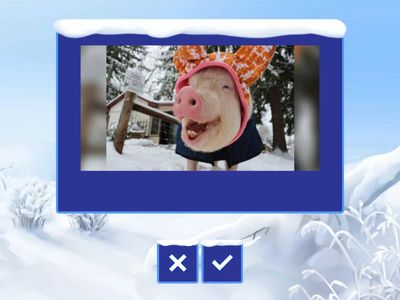 These Animals Love Snow