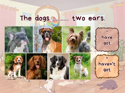 Have got or Haven't got