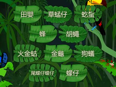 真平二下~第五課 蟲的世界