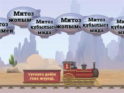  Митоз, мейоз