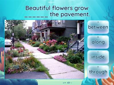 Along, Through, In the middle of, At the top of, Between, Inside