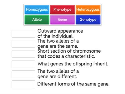 Genetics Key Words