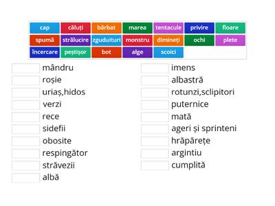 Poveste cu un copil și un peștișor argintiu / substantiv-adjectiv