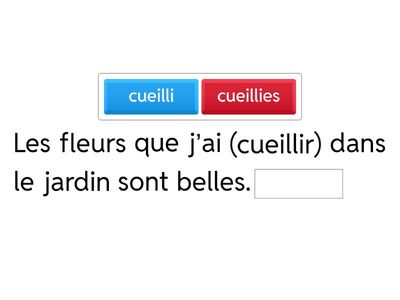Choisis la forme convenable du participe passé des verbes suivants: