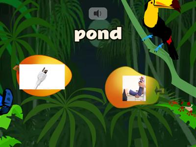 Regular One-Syllable Words