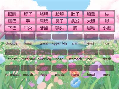 身体部件（中英文）