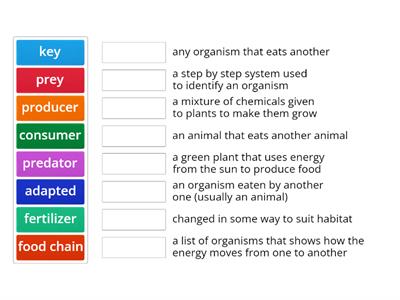 food chains