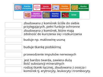 Tkanki zwierzęce