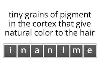 Cosmetology Chapter 11 - Vocab 2