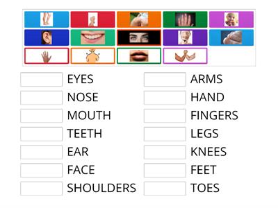 Parts of the body