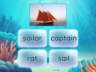 SM5 - Unit 9 - Vocabulary 