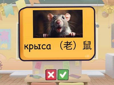 ЛК2 3у животные зодиака