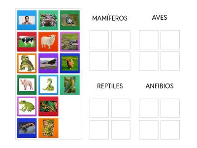 TIPOS DE ANIMALES 