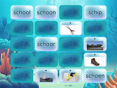 NT2 spelling 7 | woorden met sch- | memory