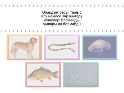 Жануарлардың тыныс алуы