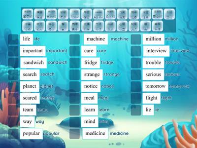 英語單字學習護照Level 12