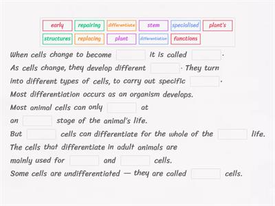 B1 Topic 1 Stem Cells