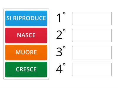 CICLO DELLA VITA DEGLI ESSERI VIVENTI