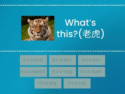 G4學扶_U3動物Animals  句型