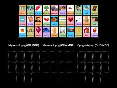 Род имени существительного