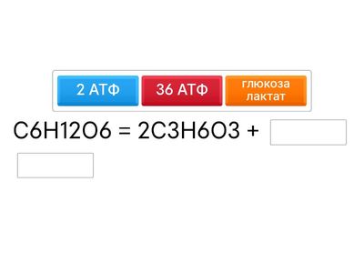 ана и аэро процессы