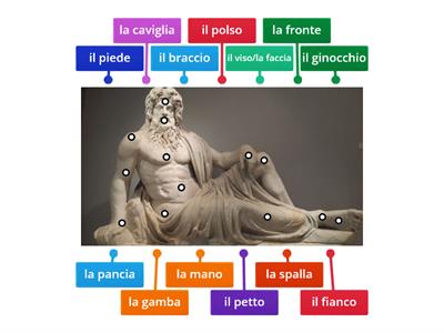 Il corpo umano 2