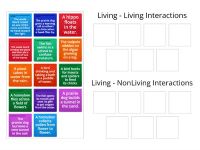 Interactions in an Ecosystem