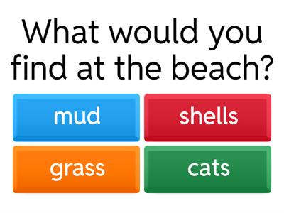 Beach - multiple choice. 
