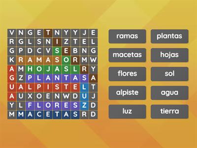 20-08 sopa de letras