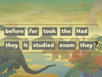 Past perfect: Questions