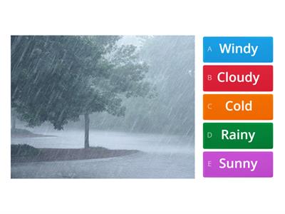 Weather Quiz (Game)