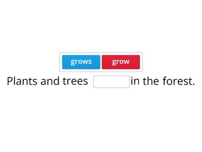 Subject-Verb Agreement