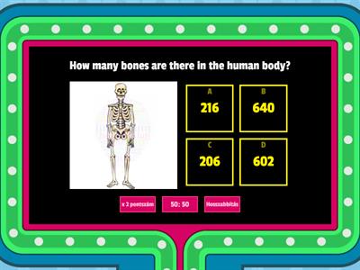 Skeletal and muscular system