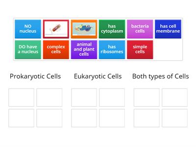 Venn Diagram Prokaryotic vs Eukaryotic