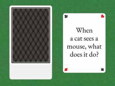 Zero Conditional Questions