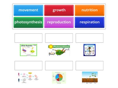science lesson grade 06 by DESHANTHA SIR...