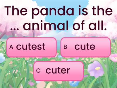 B Junior - Superlative 