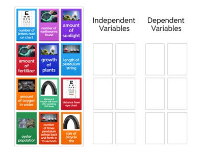 Independent and Dependent Variables Sort