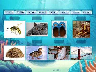 Прочитай слова и соотнеси с картинками